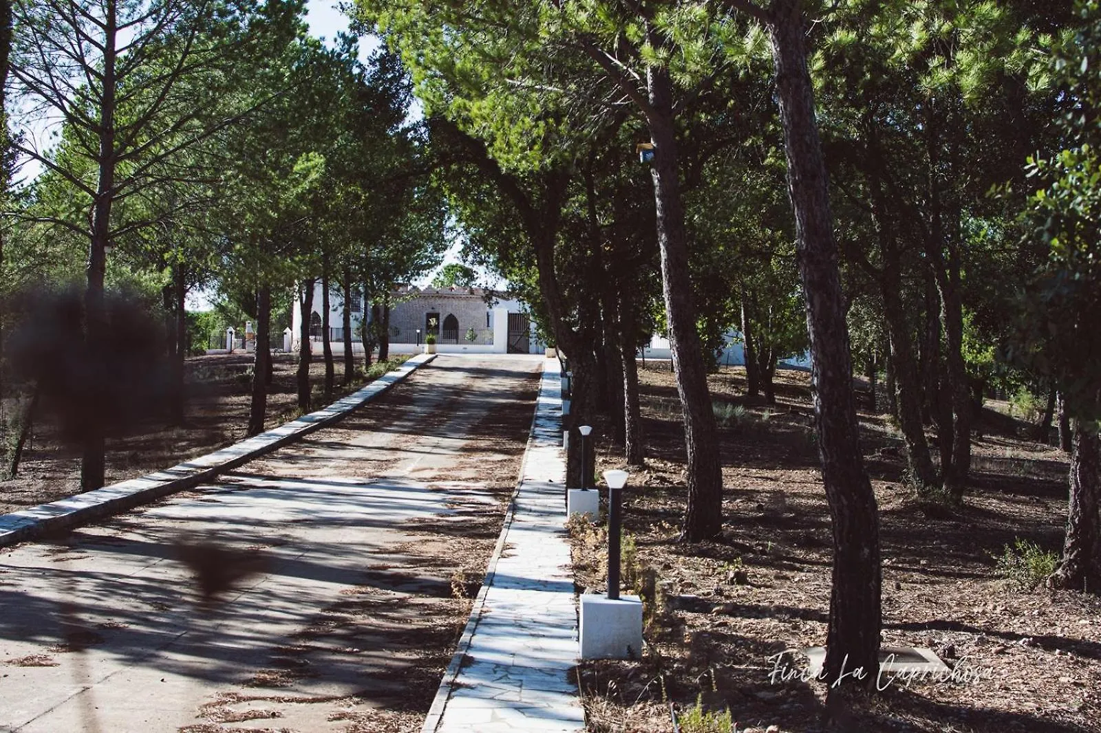 Finca La Caprichosa Cortelazor 0*,